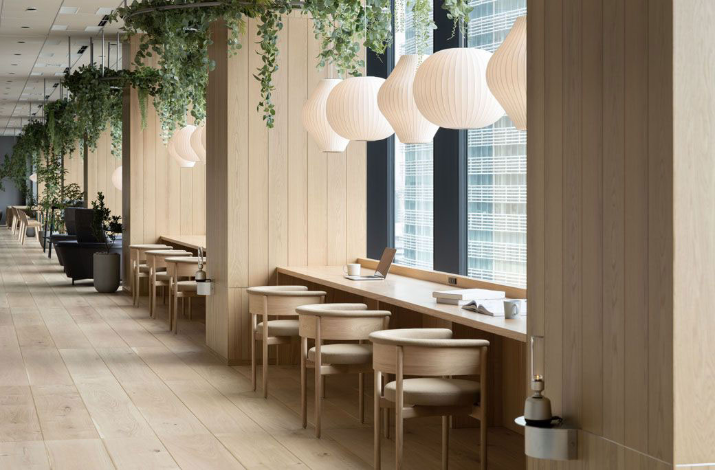 Commercial Interior Design Christchurch